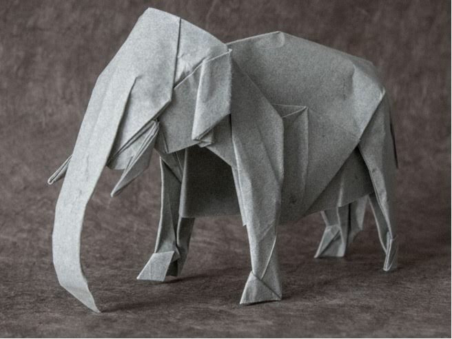 Asiatic Elephant