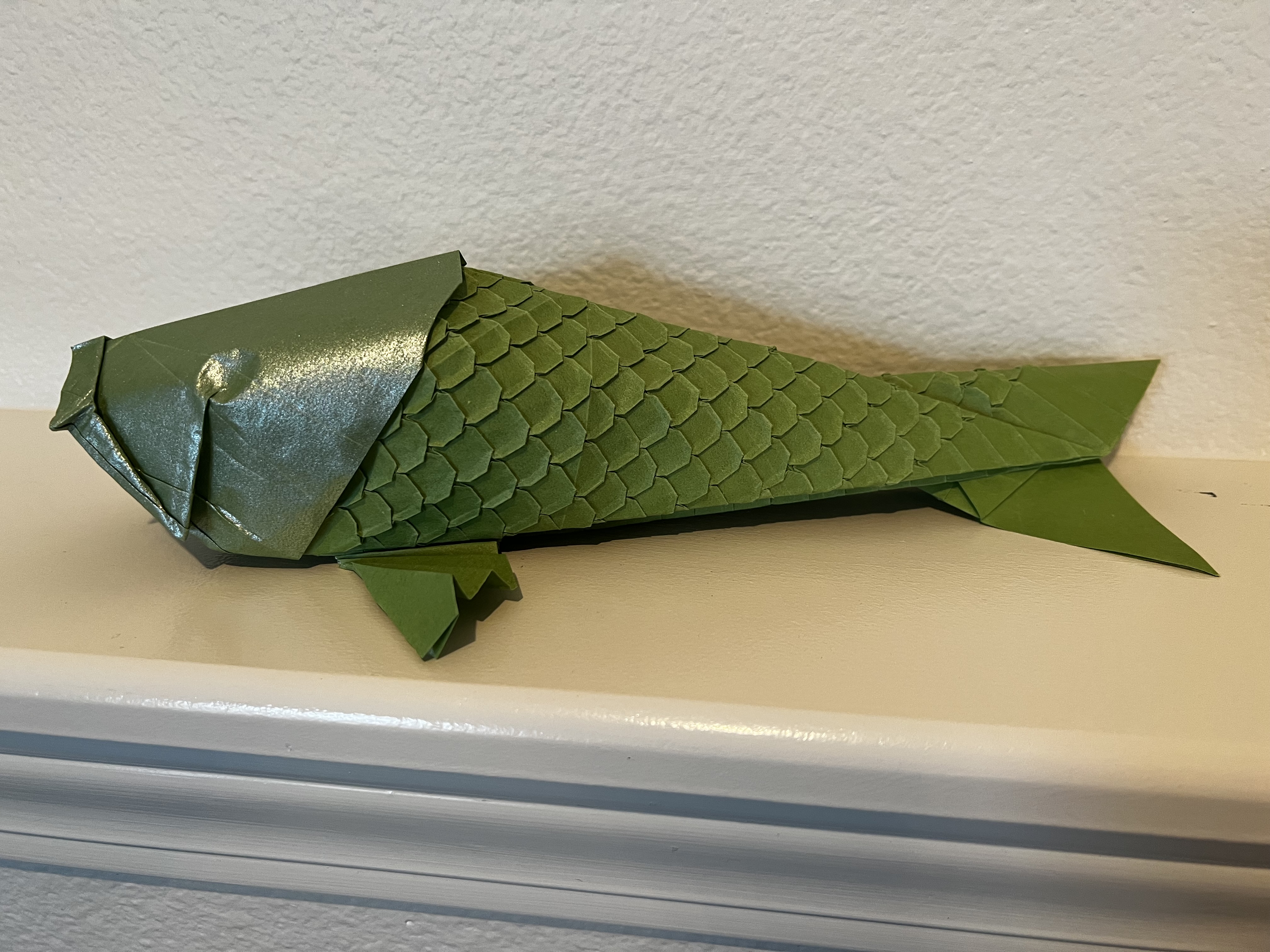 Koi