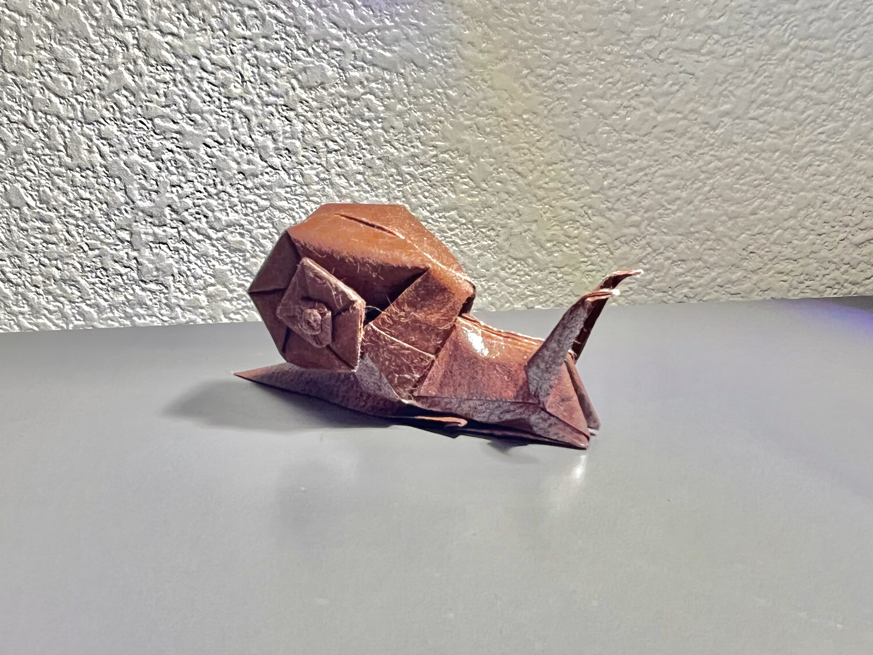 Snail